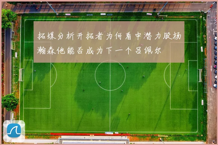 拓媒分析开拓者为何看中潜力股杨瀚森他能否成为下一个吕佩尔
