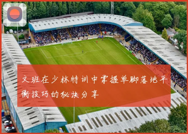 文班在少林特训中掌握单脚落地平衡技巧的秘诀分享